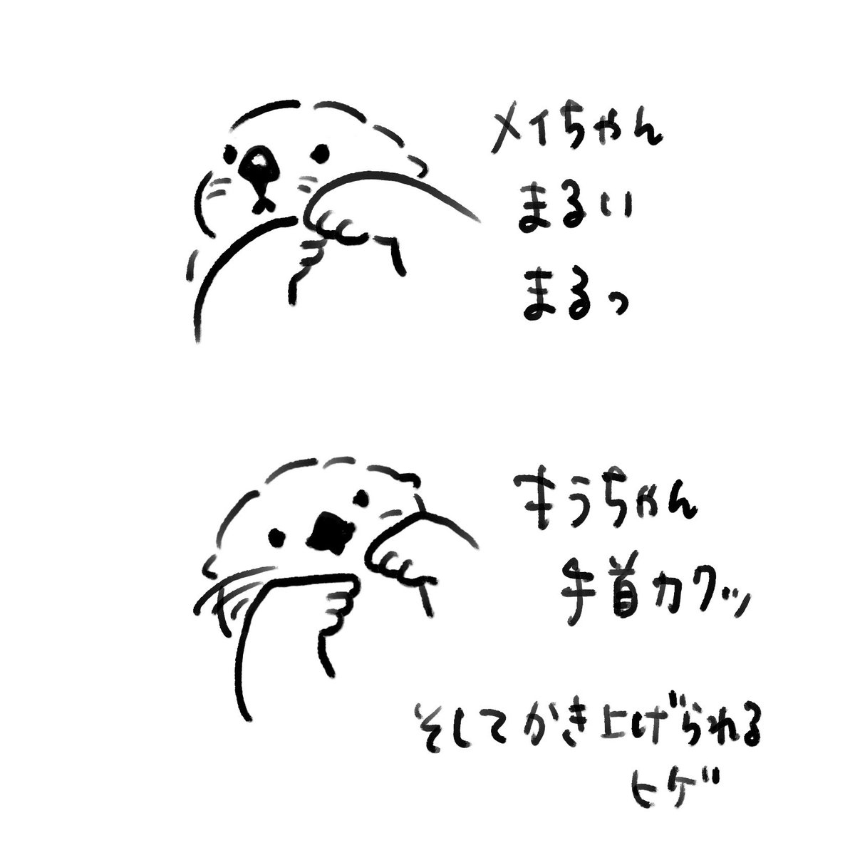 mi_hypermeep's tweet photo. 2ぴきいると同じポーズも色々違ってて5億倍かわいいって話 https://t.co/o11MkImqPF