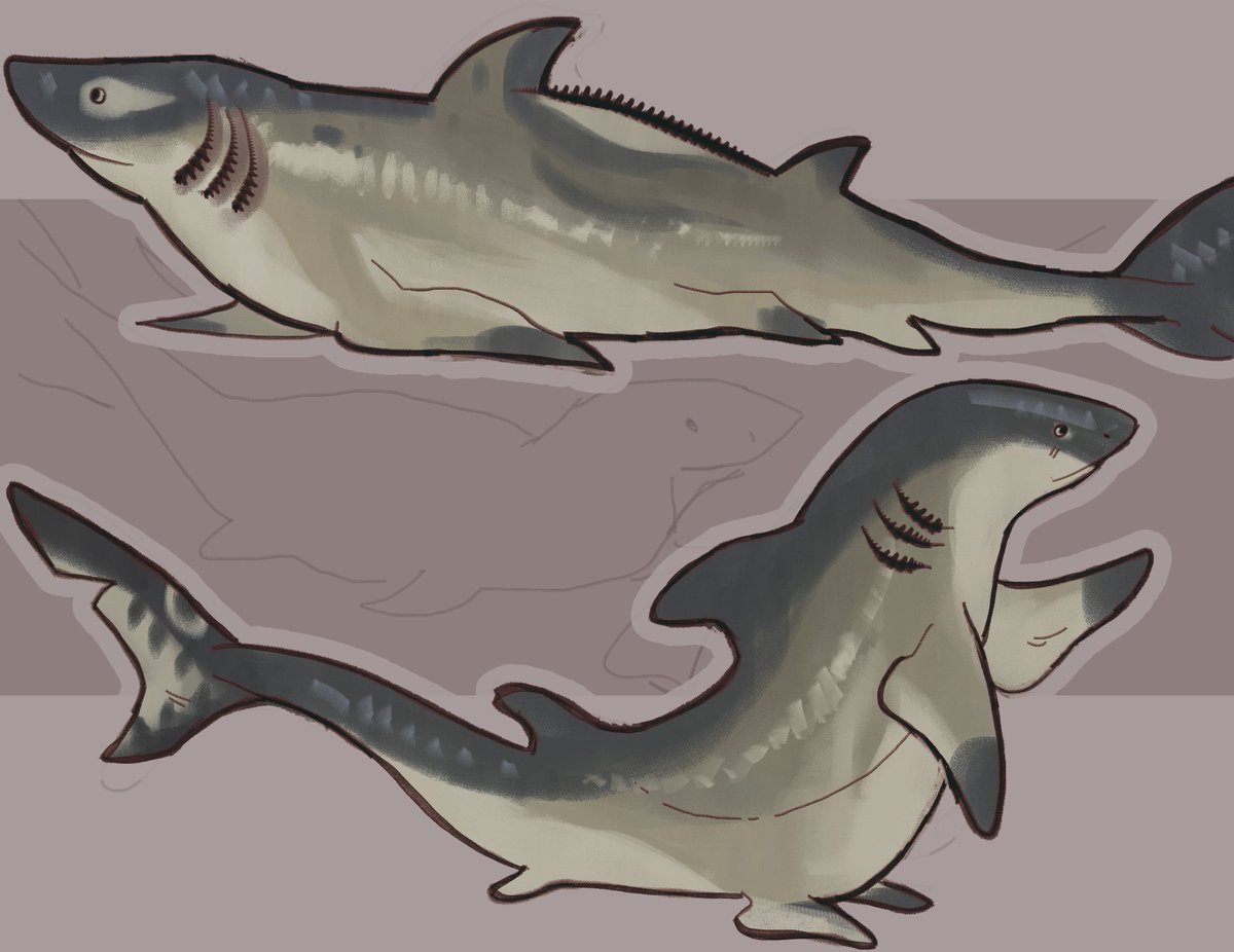 LEPER_KlNG's tweet photo. using the shark momentum as an excuse to draw one for my friend who likes them, lemon shark https://t.co/vRSECEEAzP