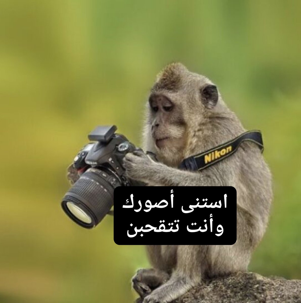 SalehShl96's tweet photo. https://t.co/iAZpXiow3n
