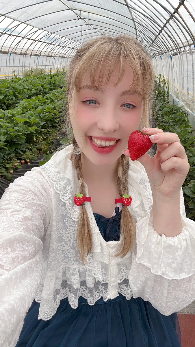 izzy_rb0703's tweet photo. おはよう〜！✨
やっぱり夏でフルーツを食べたいなー🍓 https://t.co/JBOwujlCDA