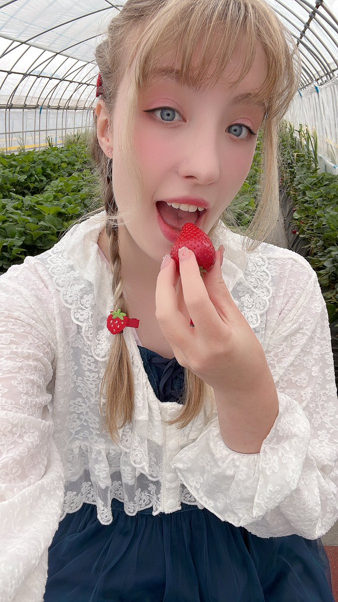 izzy_rb0703's tweet photo. おはよう〜！✨
やっぱり夏でフルーツを食べたいなー🍓 https://t.co/JBOwujlCDA