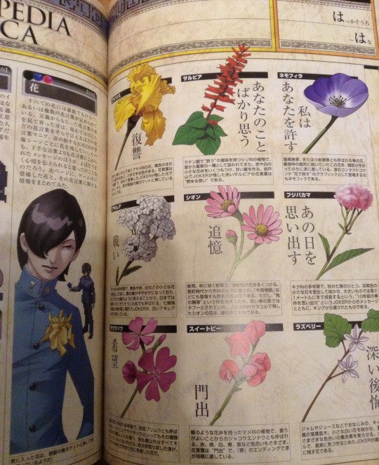kabaongnisop's tweet photo. Awww nemophilia is not on Jun's flower handbook because Maya picked it herself 

Maya forgive Jun but Jun cant forgive himself 
Im sick https://t.co/QCY02zofYl