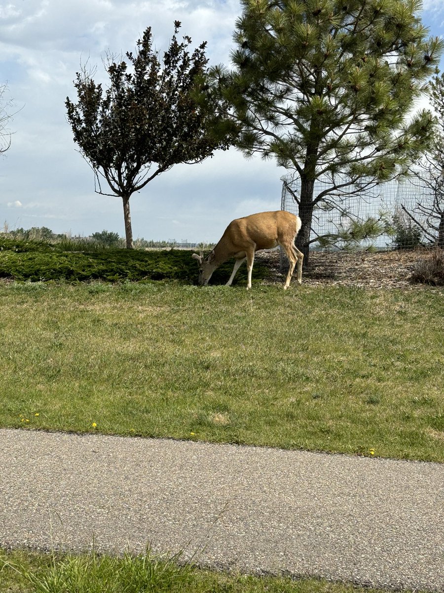 guywthebigstick's tweet photo. IM SORRY 😣 https://t.co/eOWlTtLsjE