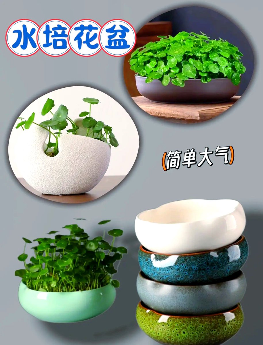 fikar19107507's tweet photo. DIY mini ceramic planter from old glass jars—no fancy tools needed! Turn trash into cute home decor in 10 mins.  #DIYCrafts #HomeHacks， https://t.co/C4vXYJSLKk