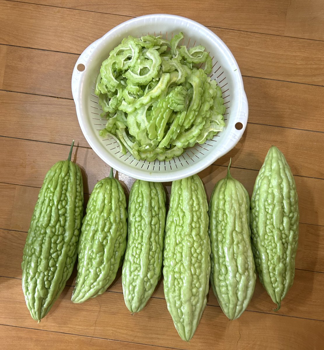 a97h5's tweet photo. 舜一郎さん・皆さま
こんにちは🏁
『育ててます!🌻』
ゴーヤ育てています🌱
大豊作で食べきれなくて困っています🌀
お昼休みのひと時
よろしくお願いいたします🌿
#catch847 https://t.co/UQxIv63jfd