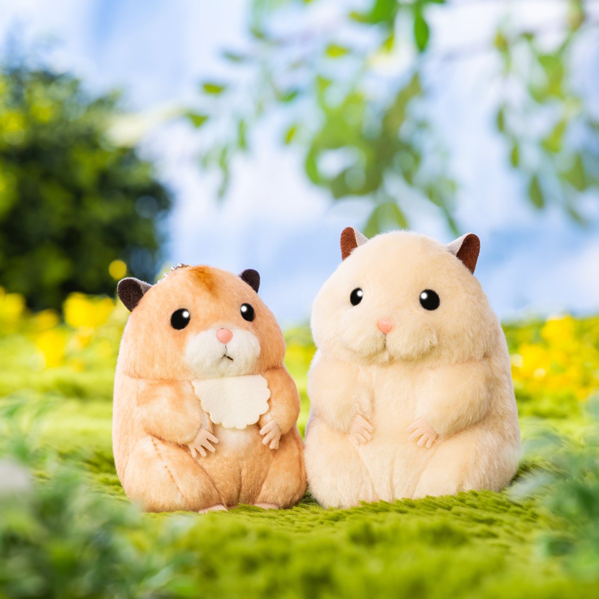 ap_hamham tweet picture