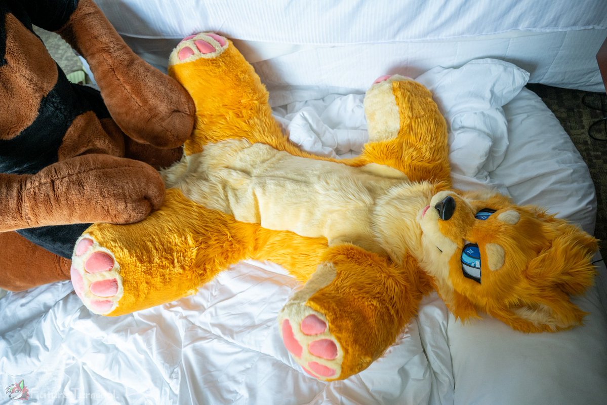 js_latelier's tweet photo. just two plushie pups
resolving a very important
dominance dispute 😜

🐾 https://t.co/xEEusT2why
📸 @Future_Terminal 
#FursuitEveryday #AC2026 https://t.co/Zfs8MbpbFT