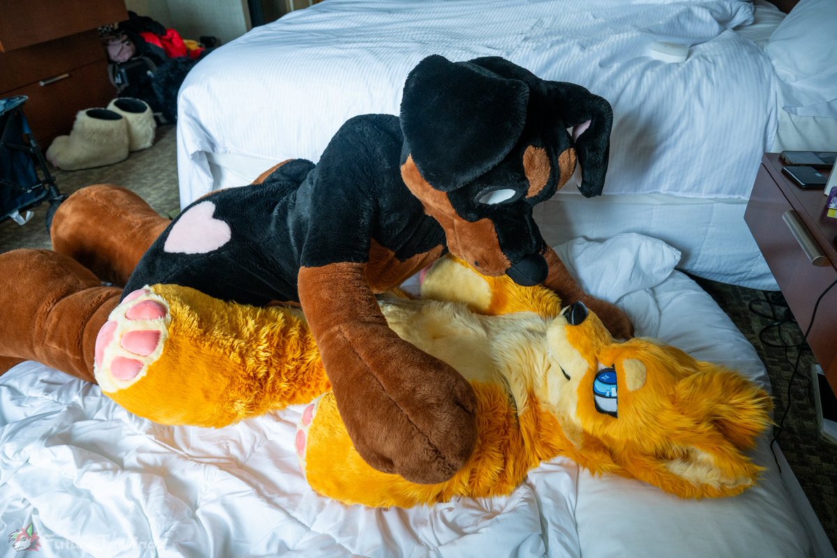 js_latelier's tweet photo. just two plushie pups
resolving a very important
dominance dispute 😜

🐾 https://t.co/xEEusT2why
📸 @Future_Terminal 
#FursuitEveryday #AC2026 https://t.co/Zfs8MbpbFT