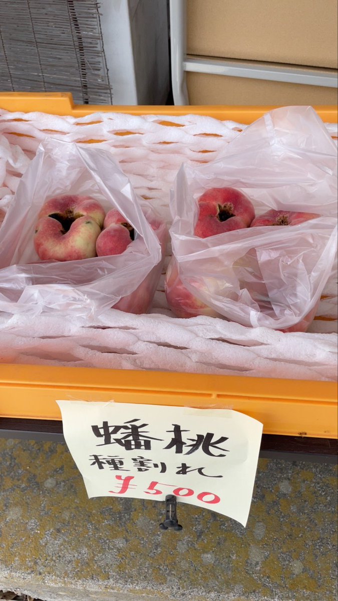 natchdonfox's tweet photo. 探し求めていた蟠桃🍑🍑🍑
ドーナツピーチ🍩🍑！！！！
幻の桃！！！！！！
市場に出回らないタネ割れで形の悪いのも激安！！！！！ https://t.co/UnnUZf1h7d