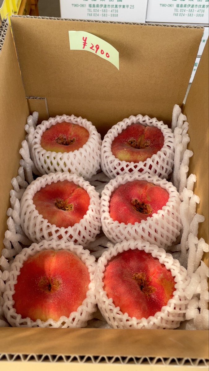 natchdonfox's tweet photo. 探し求めていた蟠桃🍑🍑🍑
ドーナツピーチ🍩🍑！！！！
幻の桃！！！！！！
市場に出回らないタネ割れで形の悪いのも激安！！！！！ https://t.co/UnnUZf1h7d