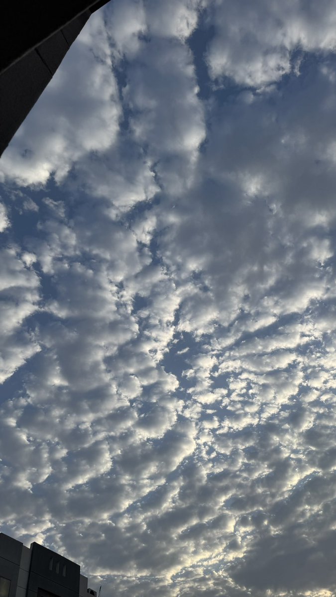 ll36x1's tweet photo. اصبحـنا واصـبح الملـك لله تبارك الرحمن 🥹☁️ https://t.co/C1X9nb7Mrc