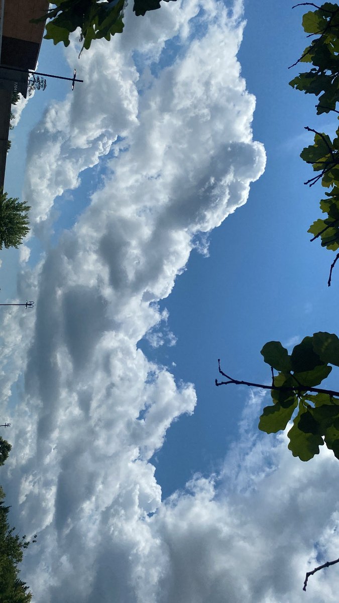justme_ambo's tweet photo. Sky pics from today ☁️ ☀️ #fypage #skypic #beautiful #todaybestphoto #nature https://t.co/afkkM3tLiu