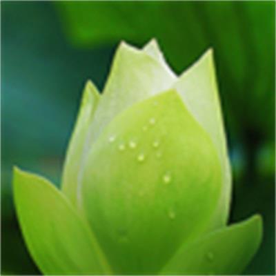 Kate55811387's tweet photo. The perfect temperature for leaving the windows open all day.   🌂 💰 🚩 https://t.co/Gnocf8qgTS