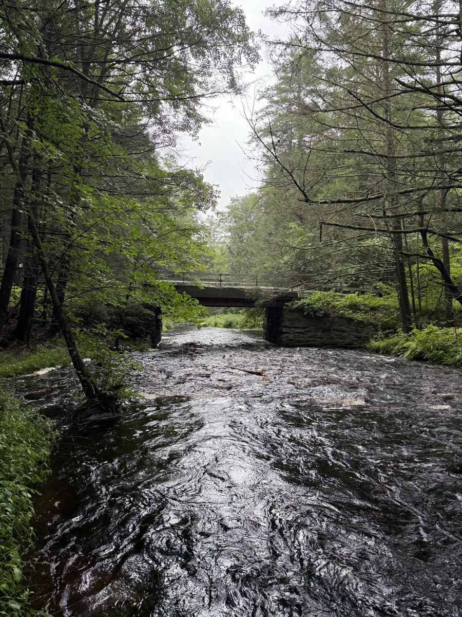 spinnyidkk's tweet photo. found some nature today https://t.co/Kex0r26PSB