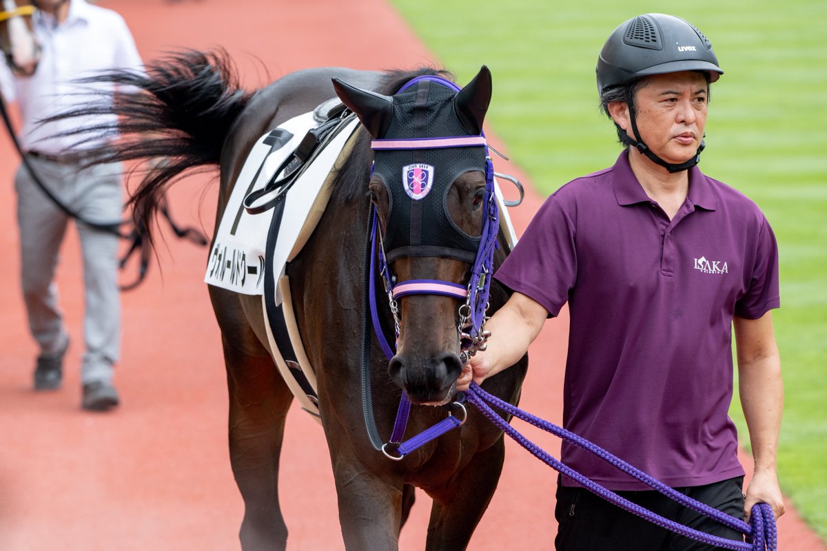 8xmb7's tweet photo. 20260801 新潟
2歳新馬

ヴォルールドクール
嶋田純次 騎手 https://t.co/LajUyAyDUN