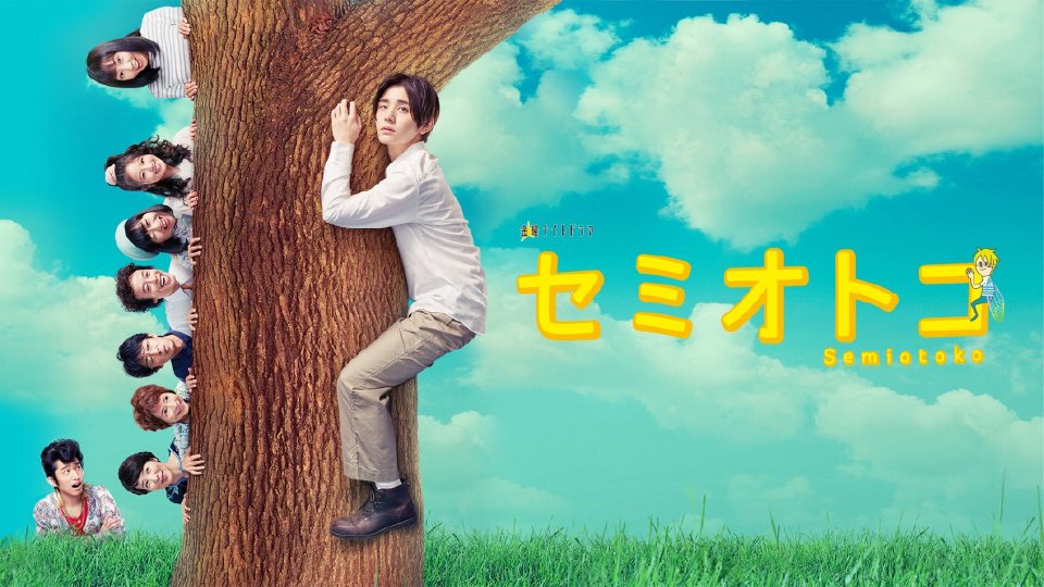starhamc's tweet photo. 🔍 セミオトコ���は https://t.co/SSinxwkvgH