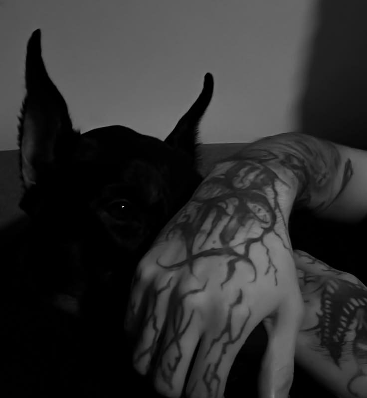 darkt0rture's tweet photo. Pov: era pra ser só uma ficada, mas agora sua galeria está assim: https://t.co/TPaKrEjZCy