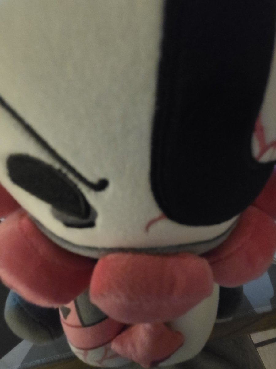 timmytuffknuckI's tweet photo. OH MEIN GOT SHES FINALLY HERE AUGH https://t.co/vvPKiTnBot