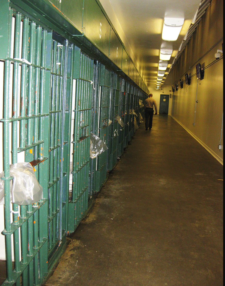 SF_investigates's tweet photo. This is #D4vd 's view tonight at Mens Central Jail in LA County. This is as good as it will ever get for him. I hope every minute feels like a year. #CelesteRivasHernandez (actual mens central jail photos) https://t.co/uG8hAU6EBB