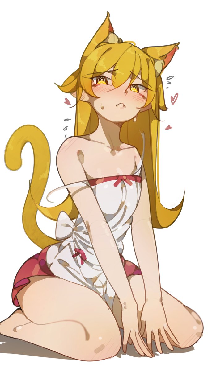 bekopeko_'s tweet photo. cat nobu https://t.co/lZlIpStsde
