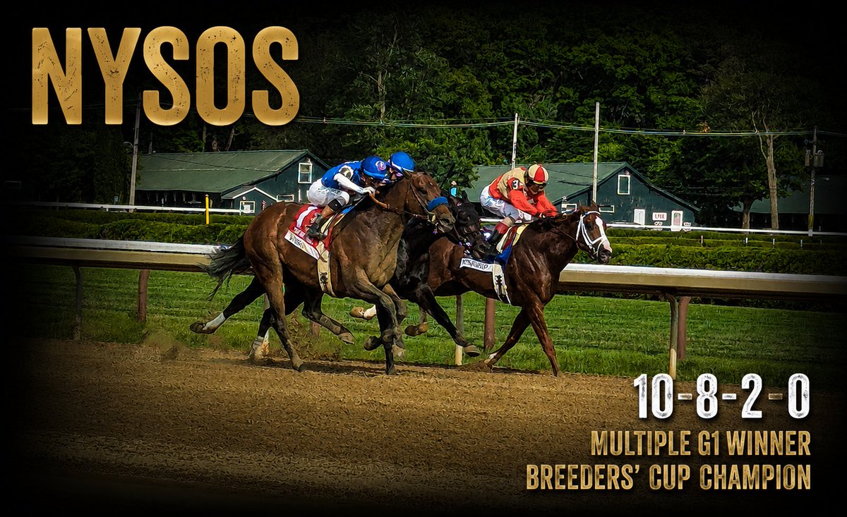 blktypeofficial's tweet photo. Nysos may have been the fastest horse in the world this year. Now he retires to @CoolmoreAmerica to make his mark on Thoroughbred racing.

Retiring sound after a romp in the Met Mile, the son of Nyquist out of Zetta Z (Bernardini) will be sorely missed. Best of luck at Ashford. https://t.co/8vyfxqhV2M
