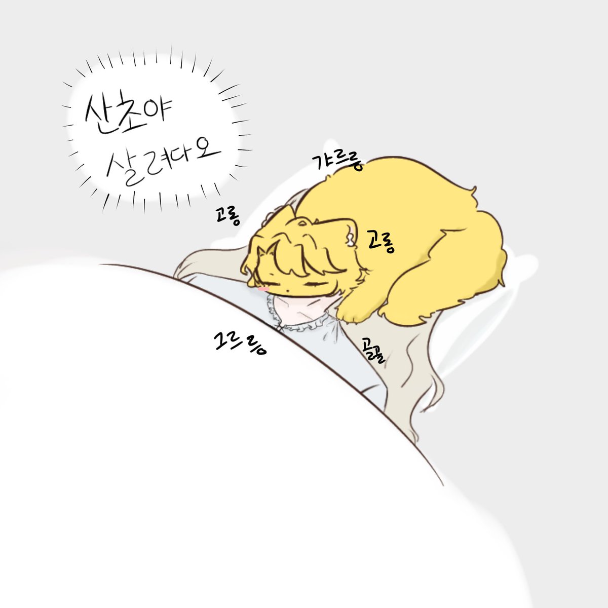 soi_limcom's tweet photo. 돈산 https://t.co/PEXgaMLHXK