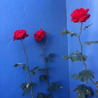 LoganSiva's tweet photo. Diversity is the palette that paints a vibrant future. Let’s mix every color to create something beautiful.  DiversityMatters Inclusion 🧢 🌈 https://t.co/2Ieaoa0aZQ