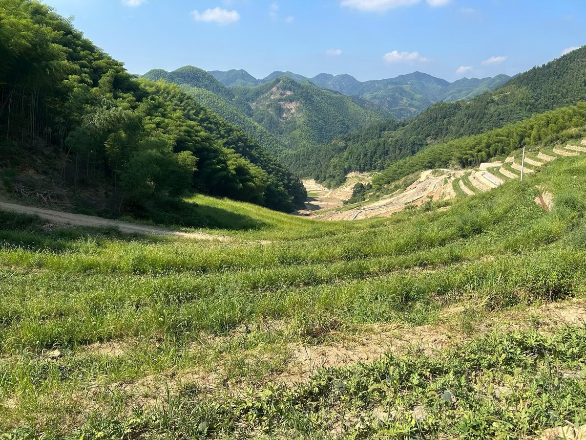 JangBB666's tweet photo. 高山西瓜，记忆中小时候的味道 https://t.co/6C9Lg2NAJO