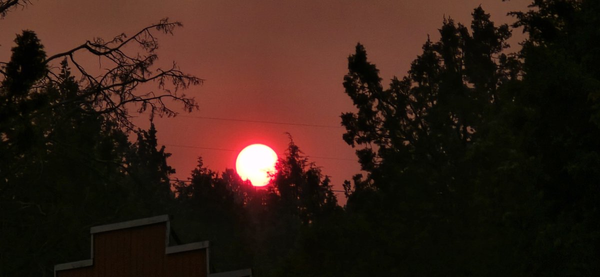 Mamabear8727's tweet photo. ✝️Daniel 9:3 

Then I turned my face to the Lord God, seeking him by prayer and pleas for mercy with fasting and sackcloth and ashes🌿

#Oregon #Bibleverses #Prayer https://t.co/qWNp6pImAV