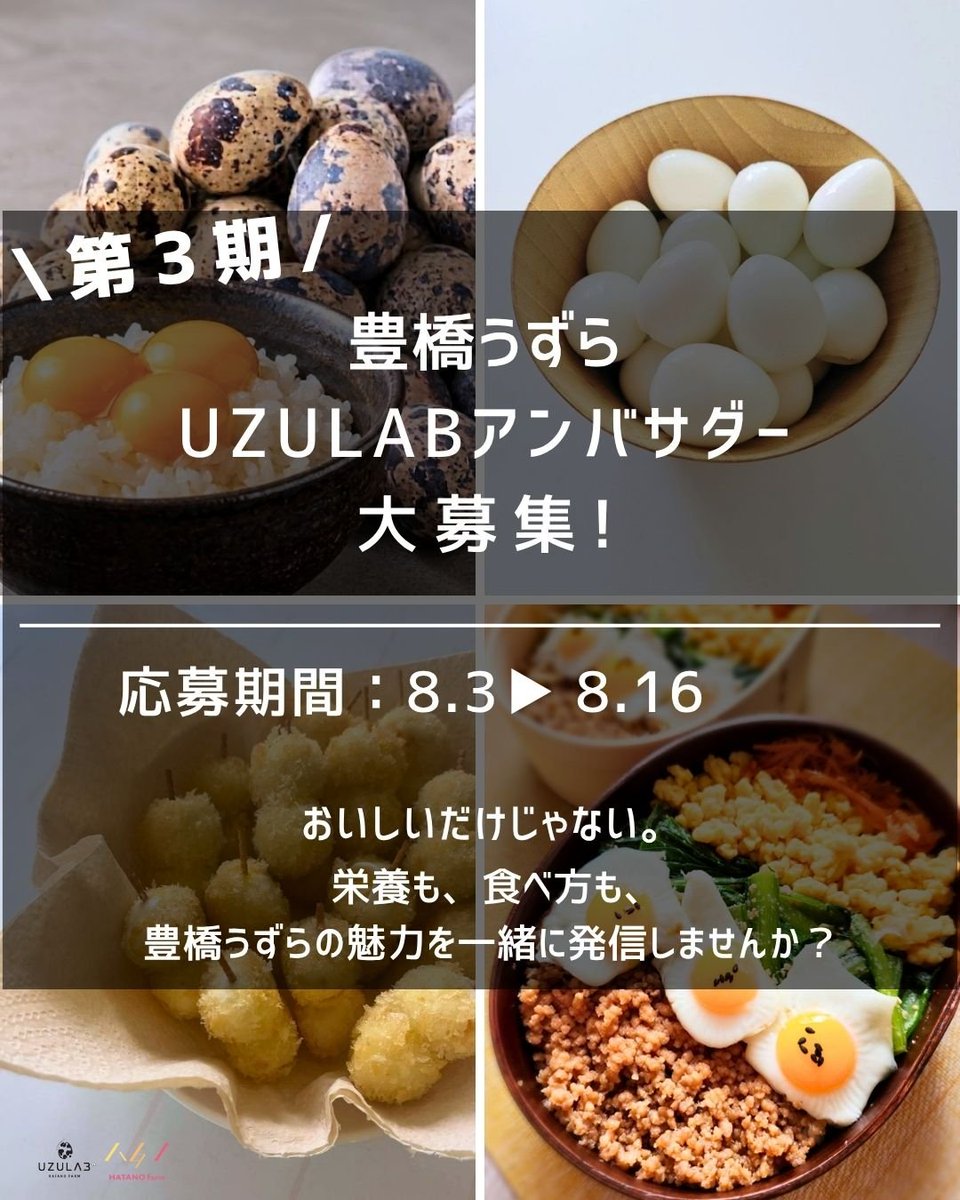 uzura_lab's tweet photo. 第3期 UZULABアンバサダー募集中✨

一緒に豊橋うずらの魅力を発信してくれる方を大募集！
美味しい体験や魅力を SNSで広めてみませんか？

活動内容や応募詳細はインスタをチェック！
▼詳細はこちら
https://t.co/f1uIDjYNZw

ご応募お待ちしております！
#豊橋うずら #UZULAB #アンバサダー募集 https://t.co/ph9BEgoXiW