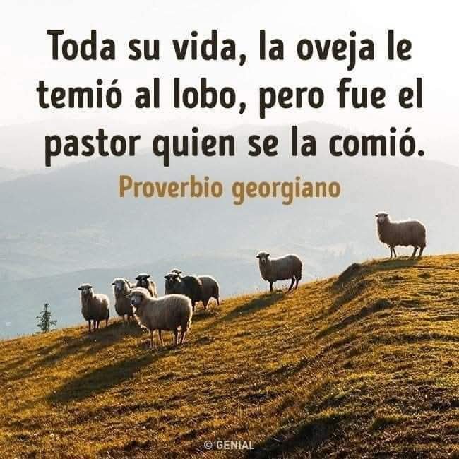 jaivobra's tweet photo. Aqui entra un personaje como @realDonaldTrump
Una parte de la población, mundial lo ve como un "Salvador de las Democracias" sin lograr ver que solo busca beneficios así tenga que destruir a quien sea!
🤷🏽‍♂️🐑🪖💣
#EUA 
#Irán 
#Israel 
#Trump 
#Teherán https://t.co/Hq1hs5HoGO