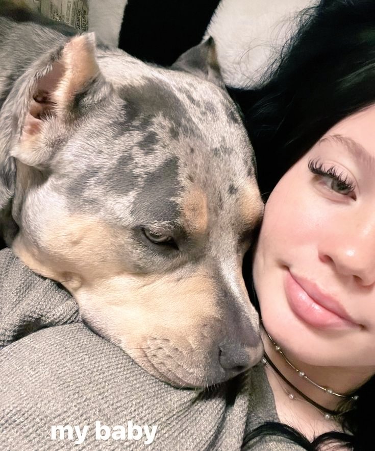 aniyyaknotts2's tweet photo. An amazing way to rest after a heated knotting section with my beast 💦😋

For content access tap the link below
⬇️⬇️
https://t.co/4TcKZjLeW8

#dogknotting #zoophilia #zoophile #Zoosex #dogknot #zootwt #dogporn #cumslut #taboo #raven #k9girls #doglover #furryporn #dogmom https://t.co/UeM7ao9iQ5
