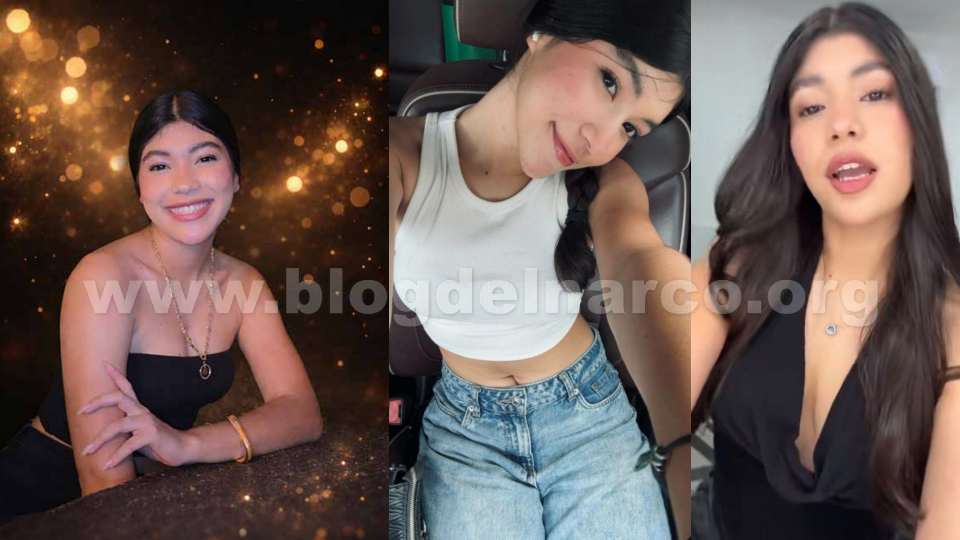 blogdelnarcomx's tweet photo. Fuerzas Federales detuvieron en Guasave, Sinaloa a José Manuel Rubio Santini "El Tito", el feminicida de la estudiante Beany Lozano García en Chiapas, le dio un balazo en la cara a la joven de 18 años, LEE MÁS AQUÍ 👇👉 https://t.co/VAzeoBBomw https://t.co/aYPTD4u4Sa
