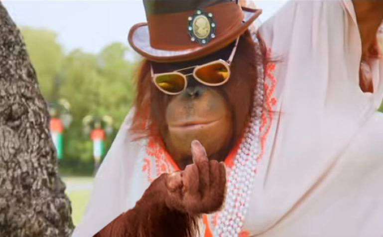 CapDopday's tweet photo. @oggorangutan Remember when...
Papa Tang remembers https://t.co/9PCCiR5tmx