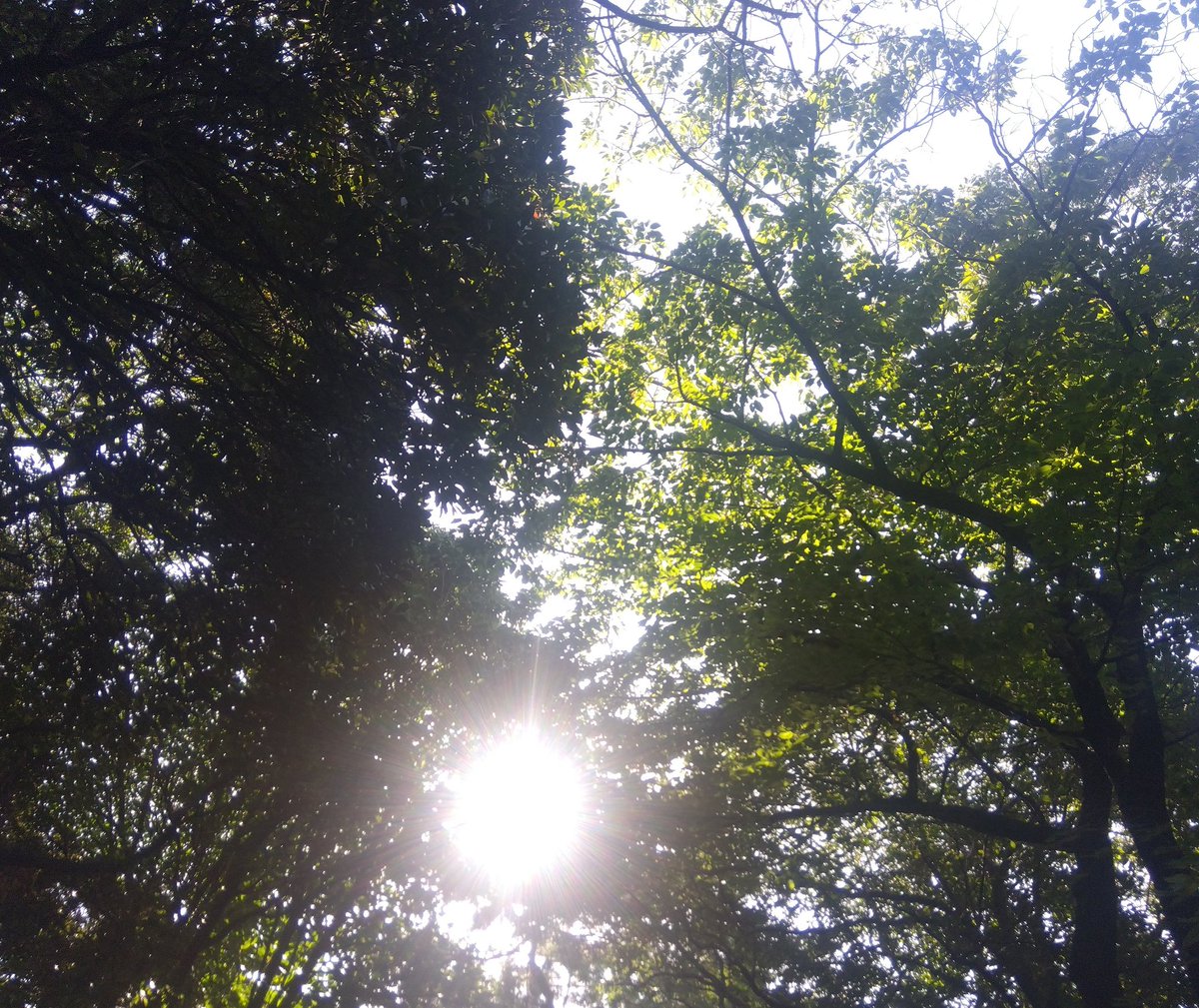 M4K1_weekender's tweet photo. 熱中症にご注意。
夏はまだこれから。 https://t.co/Gv96QRIG81