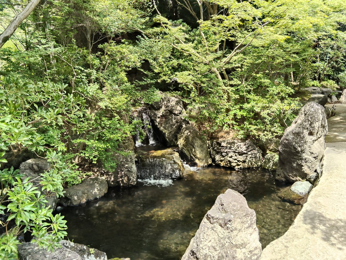 gensen163's tweet photo. 今日は御嶽山神苑に来ました！ https://t.co/2BTGCEjsqj
