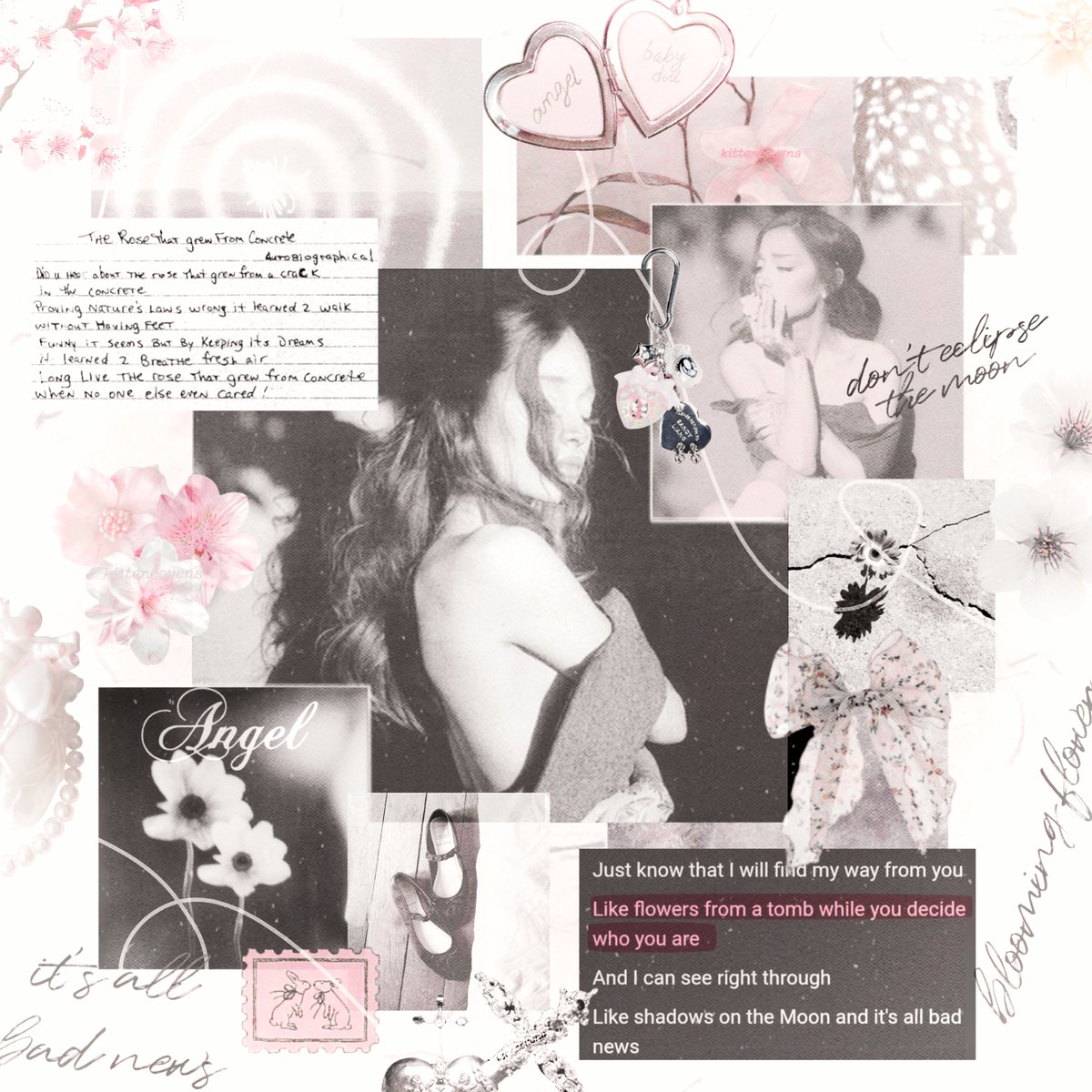 kittencovens's tweet photo. 444. 𝘳𝘦:𝘣𝘭𝘰𝘰𝘮, ꕤ｡ did you hear about the rose that grew from a crack in the concrete? 花 —  a blooming collection. 𓍢ִ໋❀ https://t.co/xHApXpwf6d