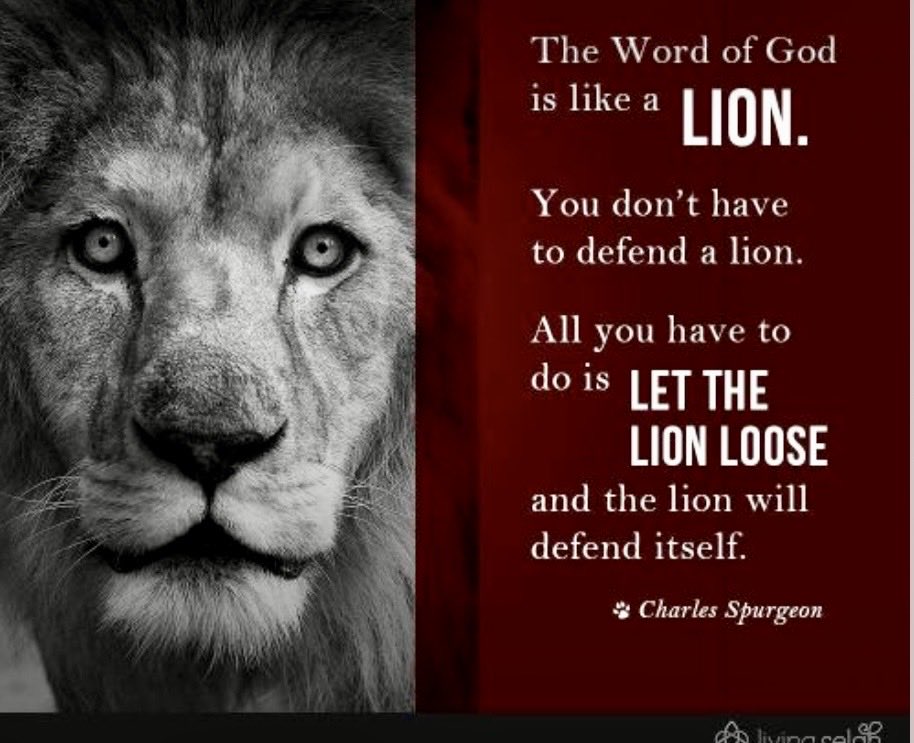 BellaHall037's tweet photo. @NYCMayor @NYCHousing @TheDoeFund This is MY COUNTRY.  
You have woken the Lion.. Are you ready? https://t.co/3MJOFbQ5I8