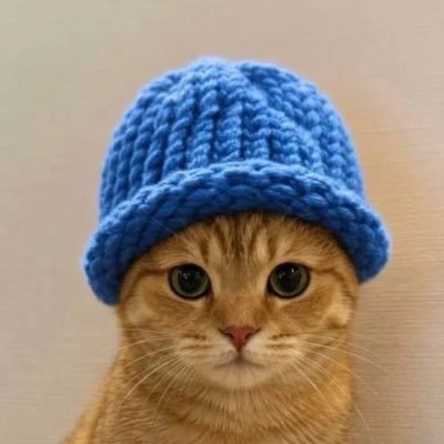 SHIB_CEO's tweet photo. @binance @JohnRealKH Every legend starts as an underdog. π±π
Today it's just a cat in a blue beanie.
Tomorrow... it might be the next name on Binance. π
We don't chase listings. We build a community they can't ignore. π
$CATWIF
#CATWIF #Binance #Memecoin #Crypto @CATWIFCTO https://t.co/pPQsUF2zIW