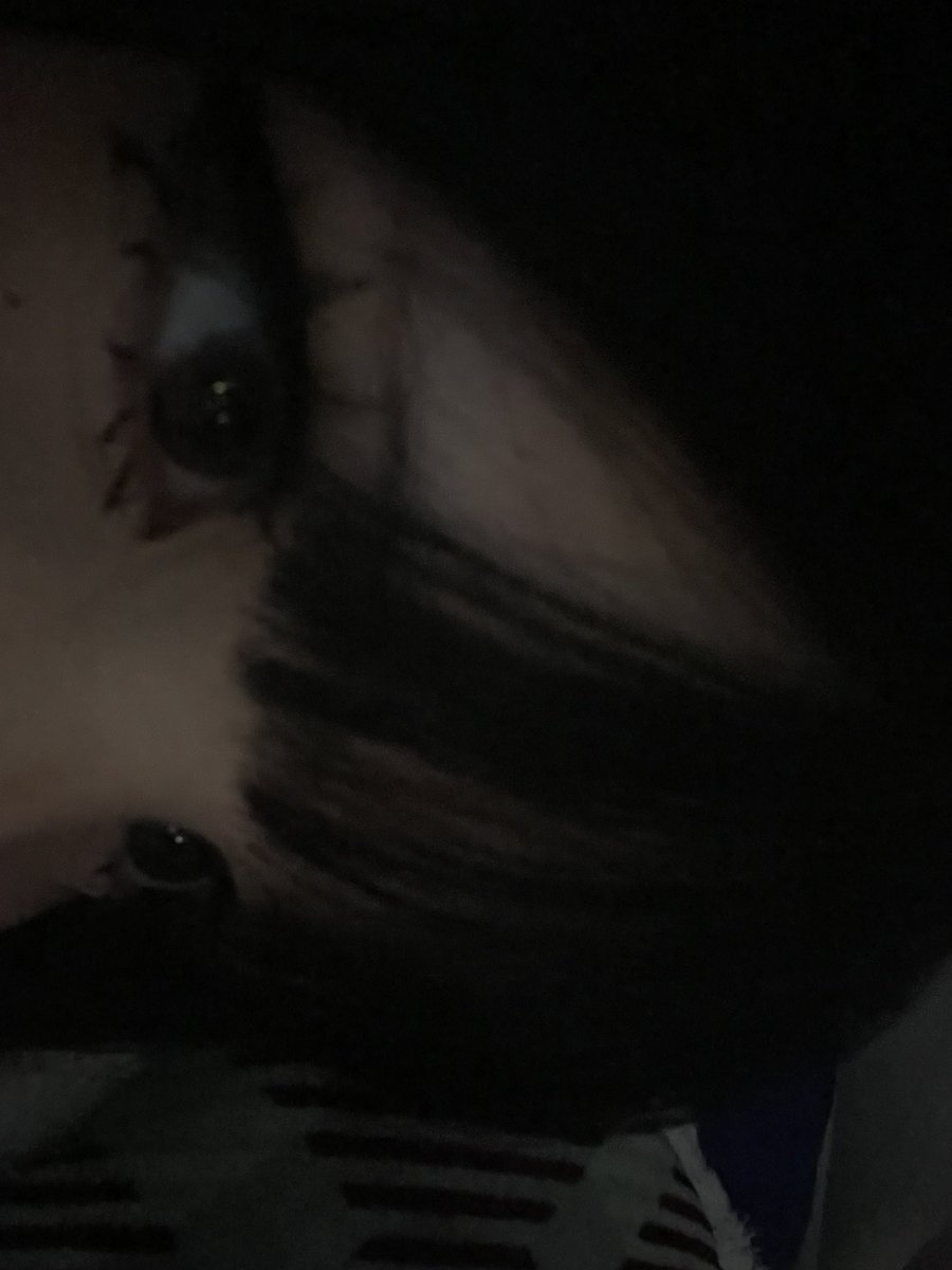 s4yil6's tweet photo. :3 https://t.co/Qdm13okNKA