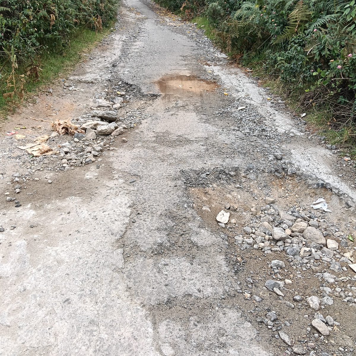texvenky's tweet photo. This is.pilakavi kurinji nagar road Kodaikanal 
Very difficult to walk in this road particularly students and women's were getting hurt.. please take immediate action and save this area people's. 
9443064676 https://t.co/uYJW4NfuKx