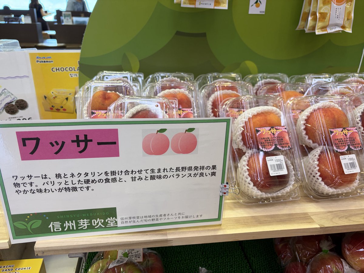 watakurea's tweet photo. エデンとかいうイカれた街からこんにちワッサ。 https://t.co/ljB9djf6mQ