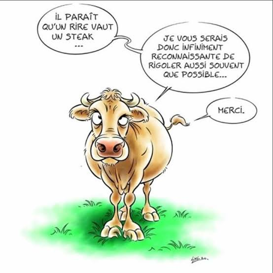 merlinpapin3's tweet photo. un peu d'humour

@FredOL69007

❤️si vous aimez https://t.co/uk72jM3zR6