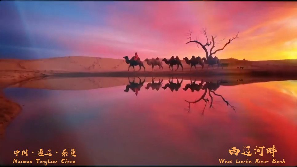 Mitchel24510067's tweet photo. ＃美丽内蒙古 
西辽河畔～宝古图沙漠🏜️ https://t.co/sURhyVLYA8