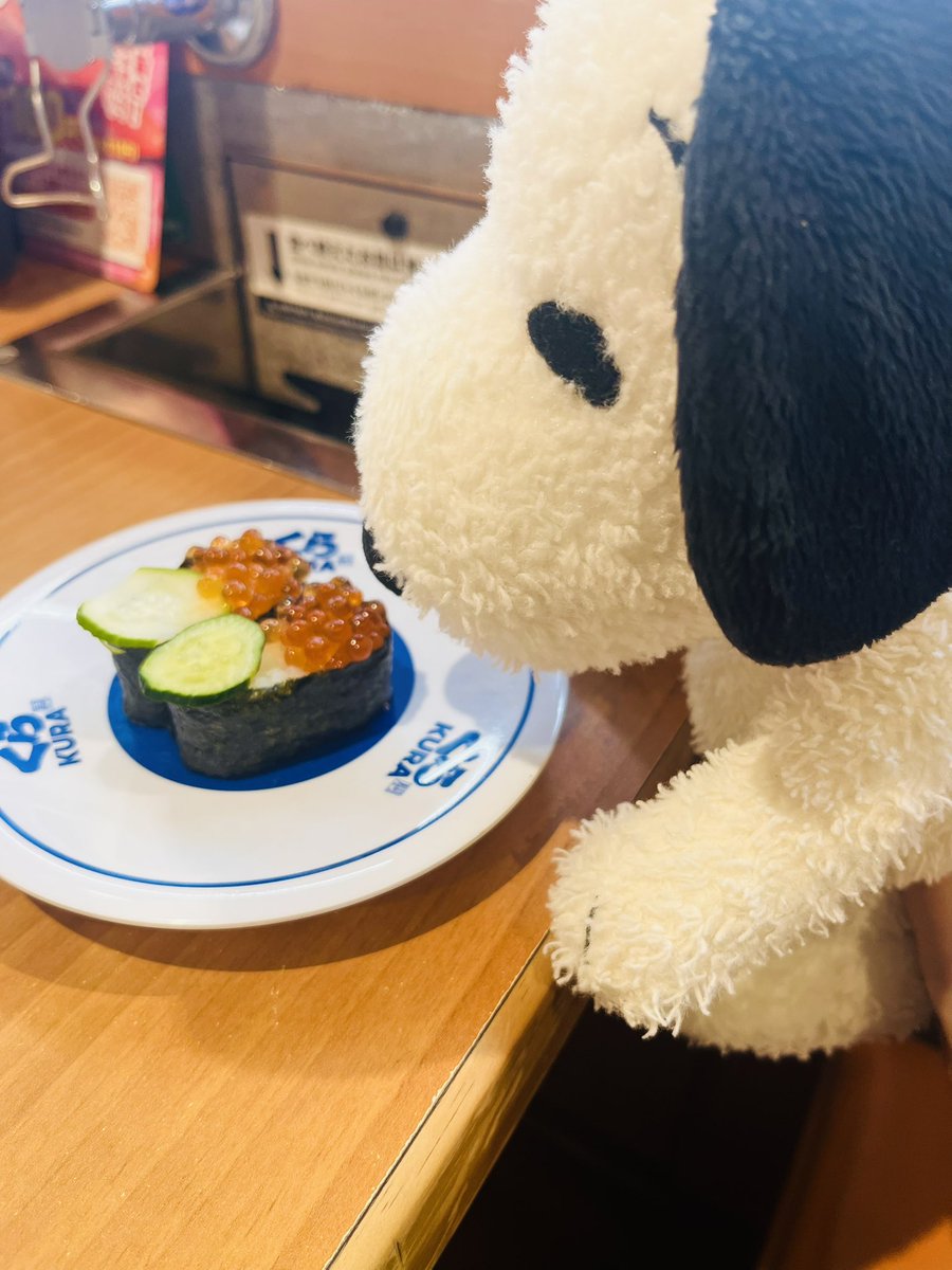 buta3buhi2's tweet photo. くら寿司の思い出🍣

#ぬい撮り https://t.co/KiHihAH5tR