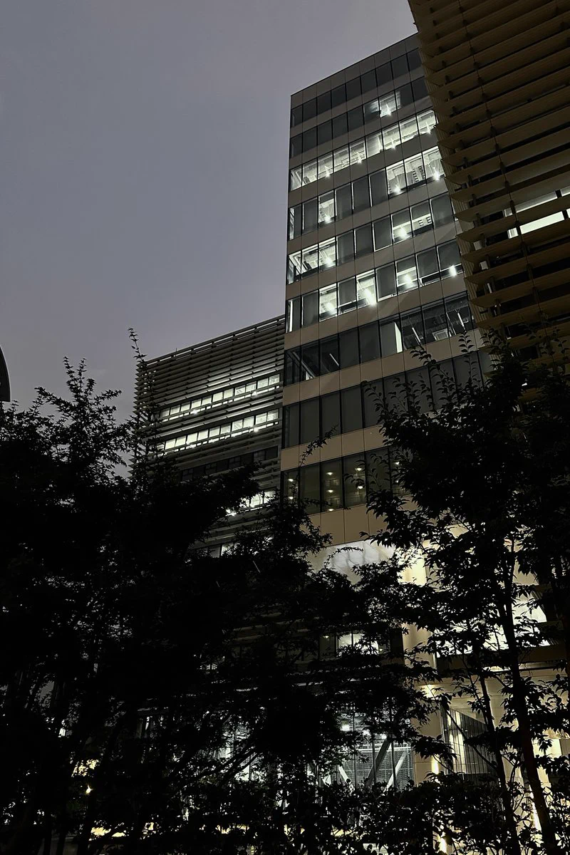 芝浦 工業 大学 豊洲 キャンパス