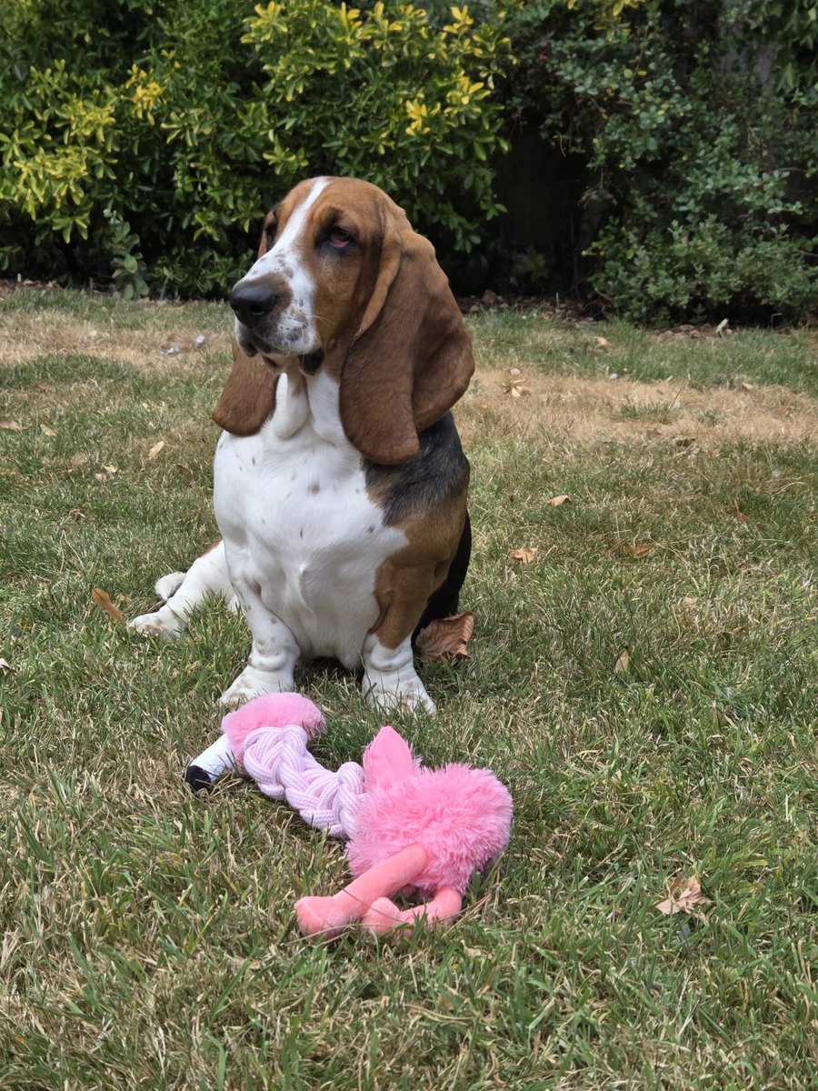 RubyMonster tweet picture