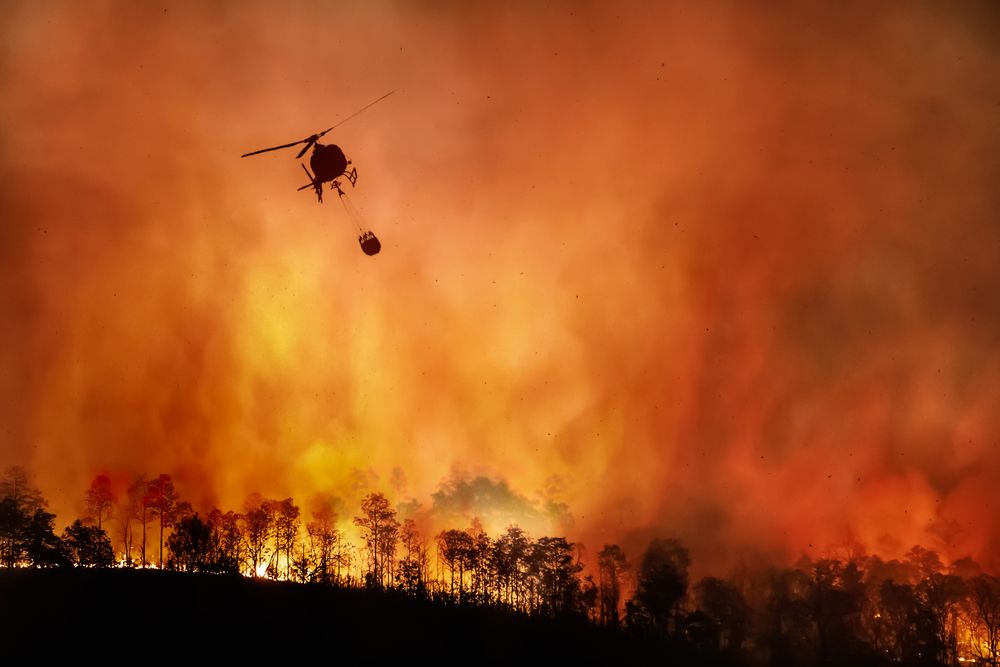 AtlaiWorld's tweet photo. Namibia's Kavango East Region faces a new fire incident. With a -0.34% net tree cover change, the environmental impact is significant. #NamibiaEnvironment #ATLAI #ChartAGreenPath #togetherforhumanity
https://t.co/5PKKtGLhIH https://t.co/euS3GWWjSU