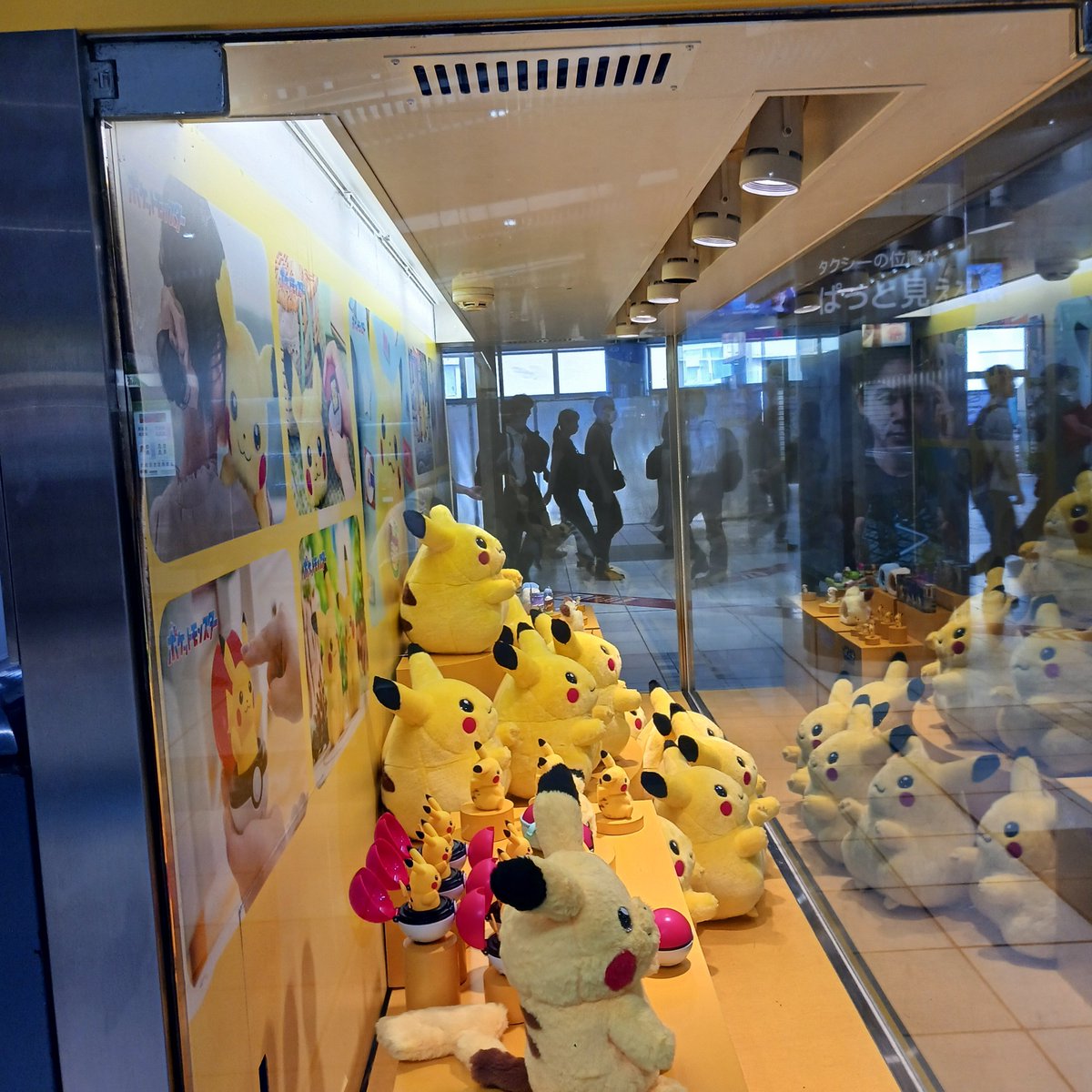 pB92V8MUmjyoZOm's tweet photo. 品川駅にピカチュウがいっぱいいると聞いたので、仕事前に見てきた
朝から可愛くて幸せ https://t.co/FisMiLAwp6