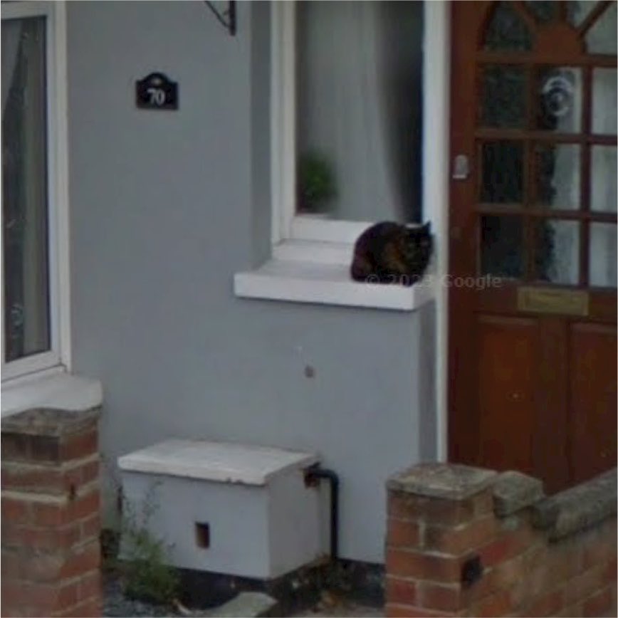 Penguxn's tweet photo. my cat passed away from cancer six years ago and when i miss her i search up my old address on google maps because they still have the image of her waiting patiently to be let back in :') https://t.co/gYEGLkWVW7